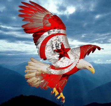 Coupe du monde : Tunisie, l'envol des Aigles ?